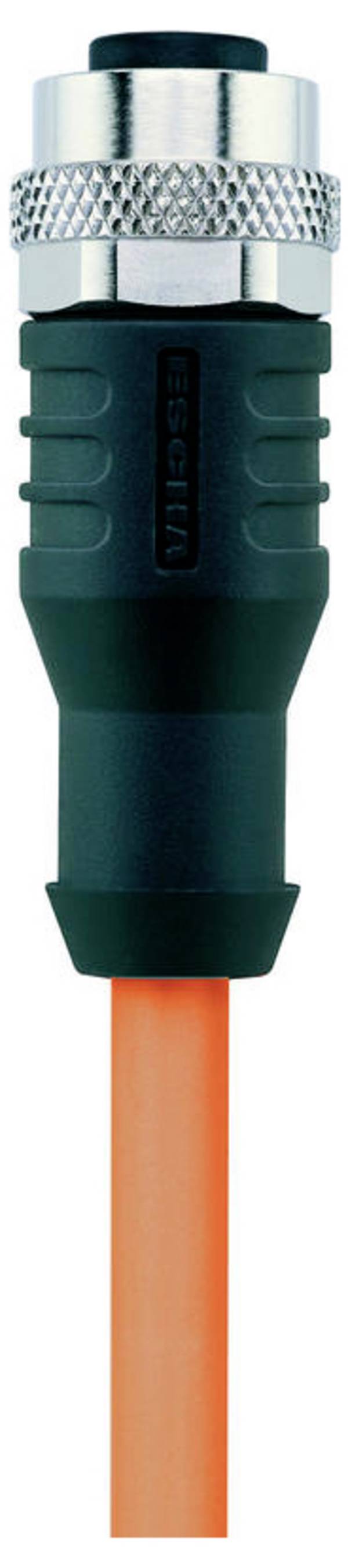 Escha 8058866 priključni kabel za senzor/aktivator M12 5.0 m Broj polova: 4 1 St.