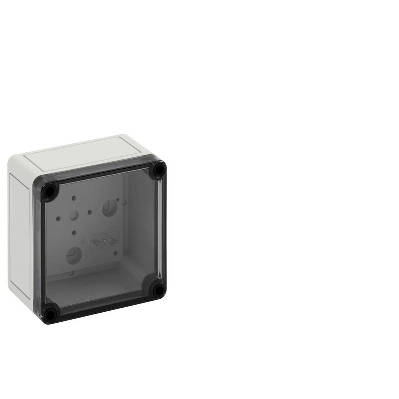 Spelsberg TK PC 1111-7-to Schakelkast (leeg) 110 x 110 x 66 Grijs, Transparant 1 stuk(s) Piece