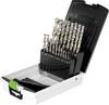 Festool 498981 HSS D 1-10 Sort/19 set svrdla obojeni metali, čelik 1 mm, 1.5 mm, 2 mm, 2.5 mm, 3 mm, 3.5 mm, 4 mm, 4.5 mm, 5 mm, 5.5 mm, 6 mm, 6.5 mm, 7 mm, 7.5 mm, 8 mm, 8.5 mm, 9 mm, 9.5 mm, 10 mm