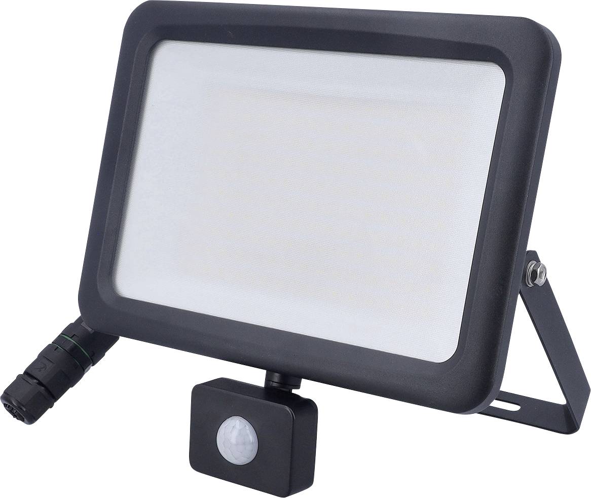 AS Schwabe Optiline 46672 LED-buitenschijnwerper met bewegingsmelder Energielabel: E (A - G) LED 100 W Zwart