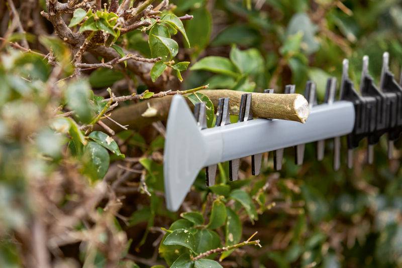 Bosch Professional GHE 18V-60 akumulatorske škare za živicu-4