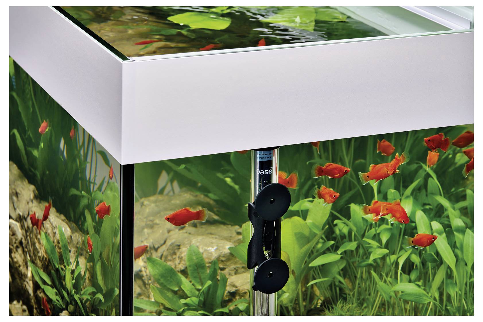 Oase HeatUp 250 42712 akvarij - grijač-3