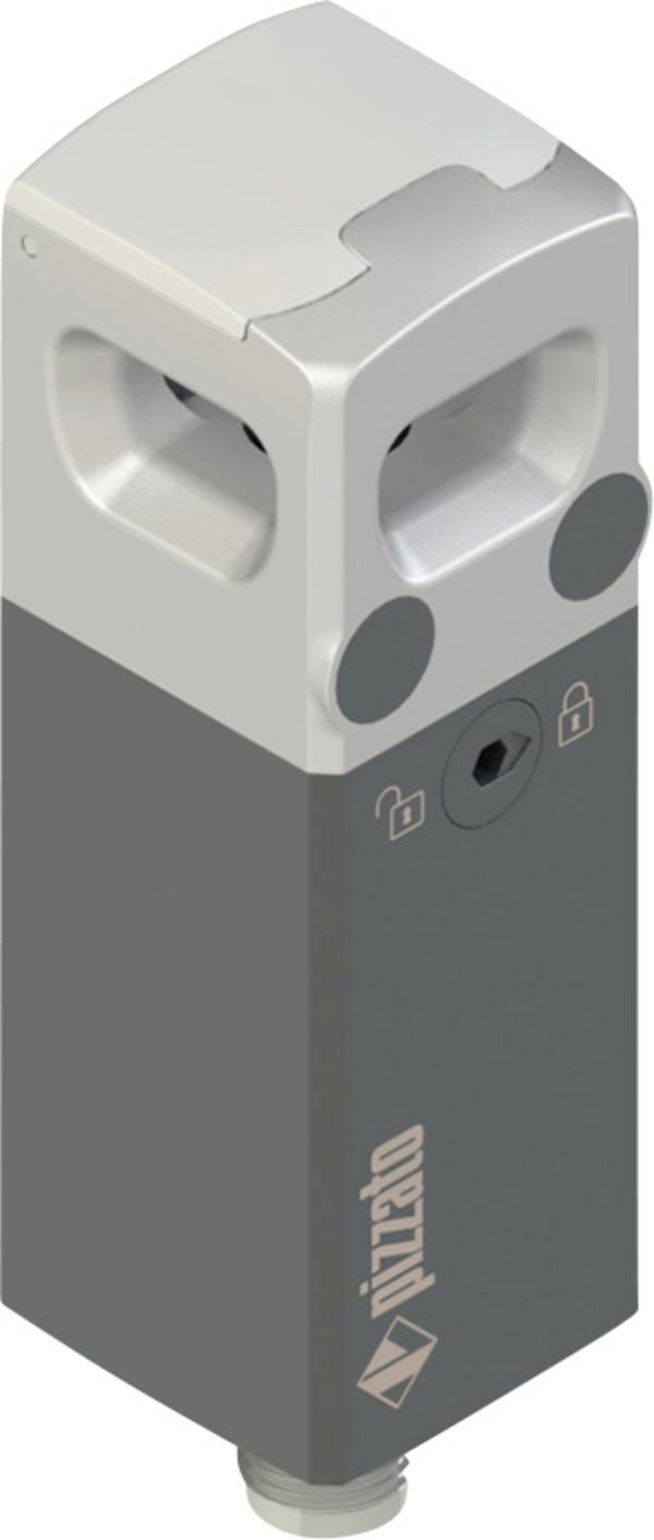 sigurnosni prekidač NX B42AZ1SMK Pizzato Elettrica Radni napon (broj): 24 V/DC (Š x V x D) 30 x 94.3 x 30 mm 1 St.