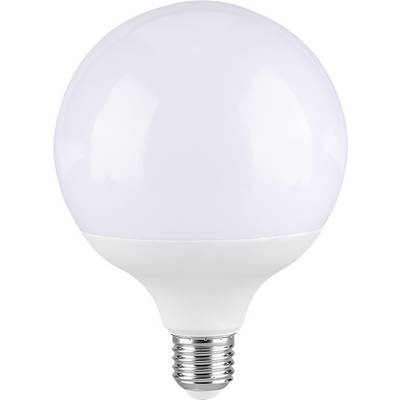Bijela LED žarulja sa zaobljenim oblikom globusa i metalnom vijčanom bazom na jednostavnoj bijeloj pozadini.