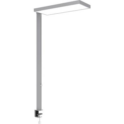 Bijela podesiva stolna lampa s dugom okomitom rukom i pravokutnom glavom na bazi sa stezačem, prikazana na neutralnoj pozadini.