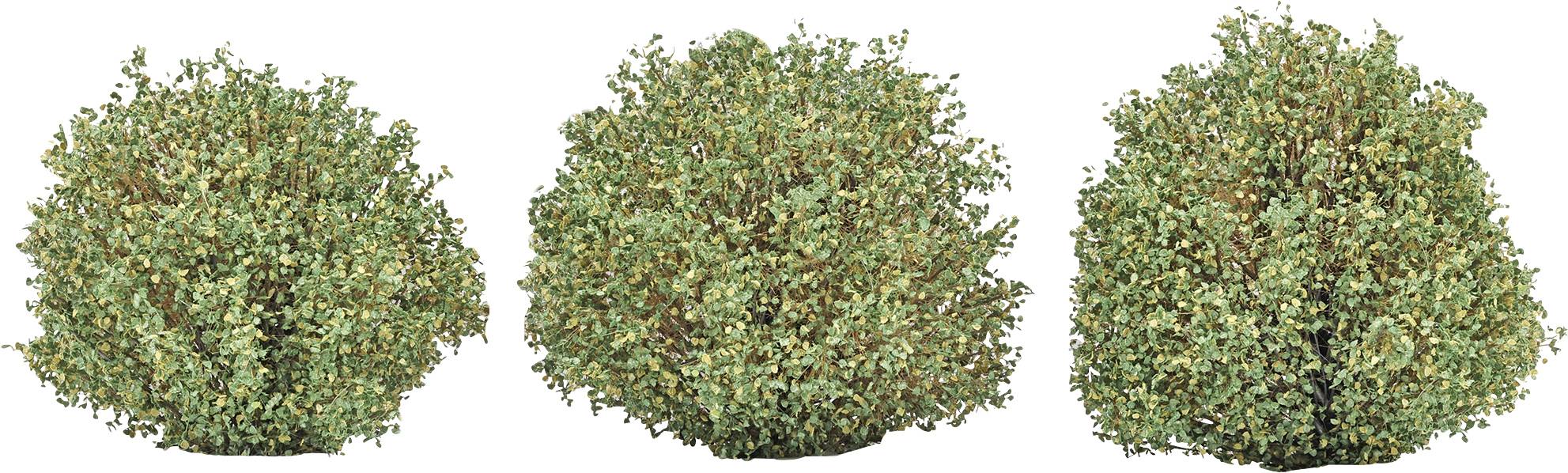 Busch 3608 Struik Nazomer 40 mm Zomer-groen