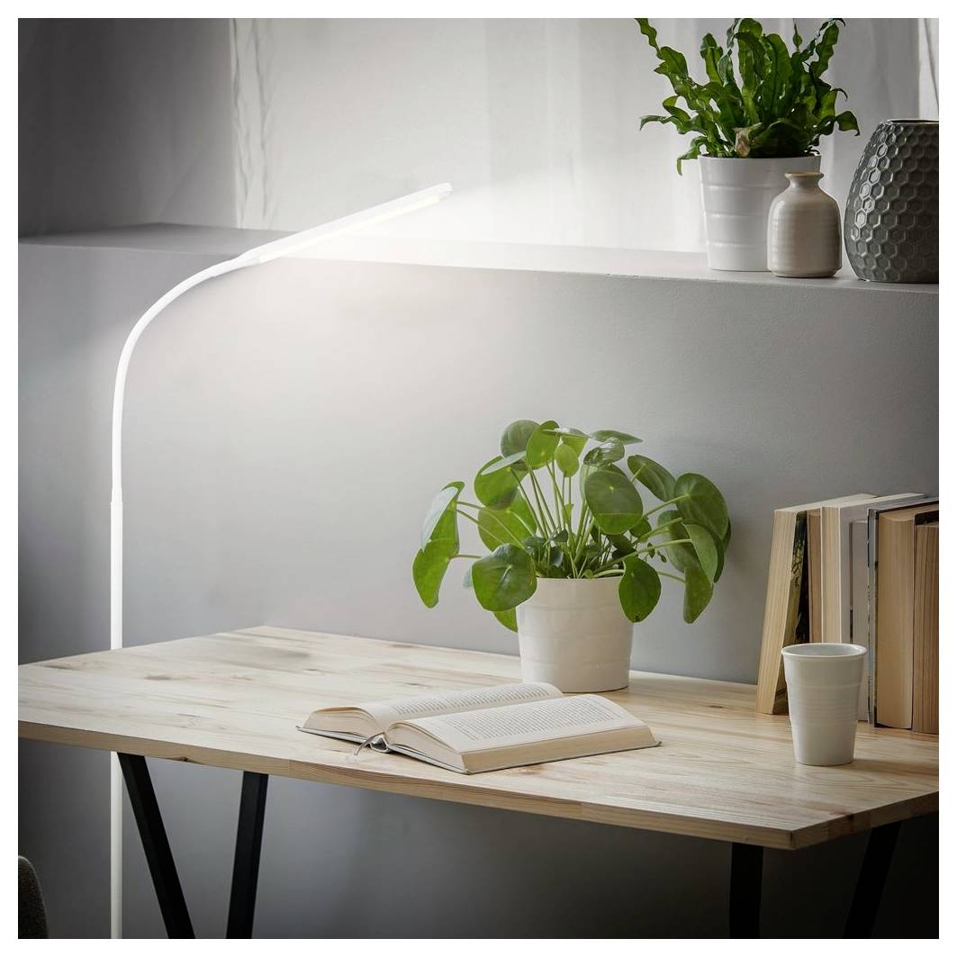 Minimalistički home office stol s otvorenom knjigom, sobnom biljkom u saksiji i upaljenom podnom lampom pored prozora u mekanoj dnevnoj svjetlosti.