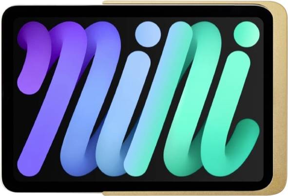 Displine Dame Wall Home 2.0 Tablet muurhouder Apple iPad mini 8.3 21,1 cm (8,3)