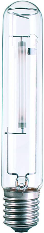 Signify Hogedruk-natriumdamplamp E40 1000 W 1 stuk(s)