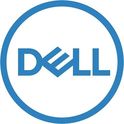 Logo Blue Dell-a unutar plavog kruga na bijeloj pozadini.