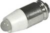 CML Innovative Technologies 1512535W3 LED smjerni hladno-bijela T1 3/4 MG 24 V/DC, 24 V/AC 1500 mcd