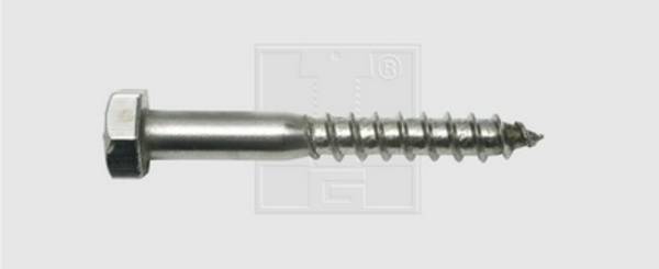 SWG 19388067  vijak za drvo 8 mm 80 mm vanjski šesterokutni DIN 571   nehrđajući čelik A2 25 St.