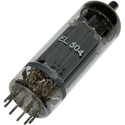 Elektronska cijev EL 504, električki napajan element s osam priključnih iglica, vidljiv u staklenom kućištu.
