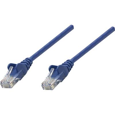 Dva plava Ethernet kabela s transparentnim utičnicama koji se koriste za mrežno povezivanje.