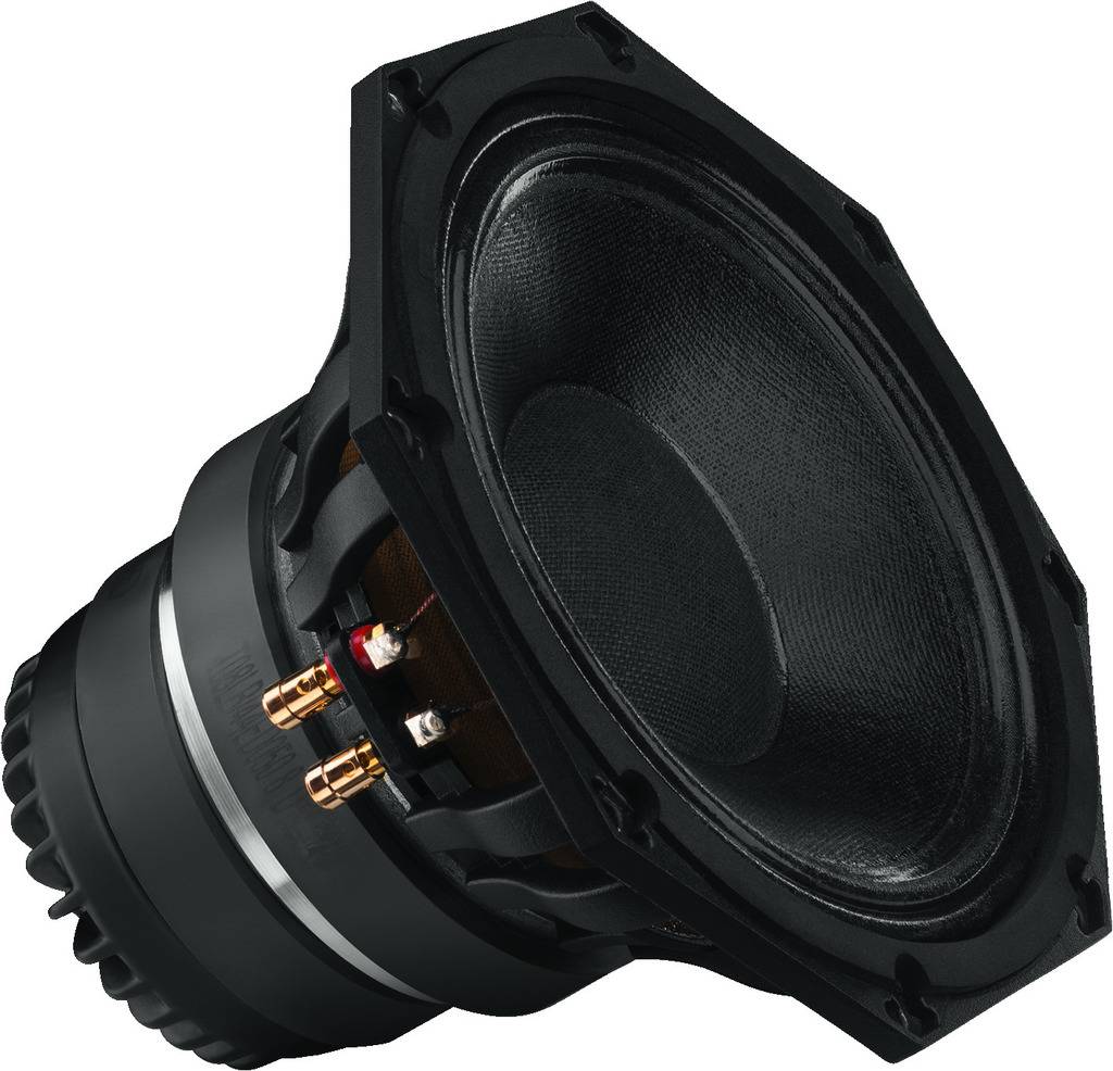IMG Stageline SP-308CX 8 palac 20.32 cm šasija širokopojasnog zvučnika 150 W 8 Ω