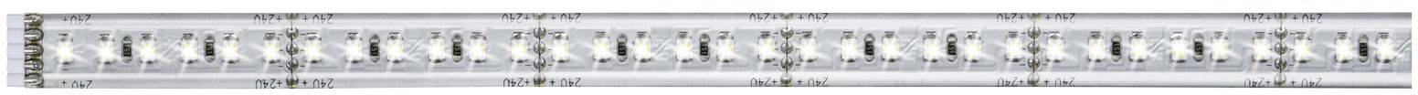 Paulmann MaxLED 1000 70676 LED-strip uitbreidingsset Met connector (male) 24 V 1 m Warmwit 1 stuk(s)