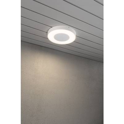Okrugla stropna lampa s bijelim okvirom, pričvršćena na drvenom stropu, osvjetljava meko svjetlo na sivoj stijeni ispod.