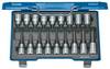 Gedore 6138510 komplet bitova za nasadni ključ 1" 18-dijelni 6138510