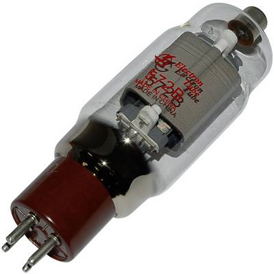 Elektronska cijev s dva priključka i metalnim dijelovima unutar, označena natpisom 'Made in China'.