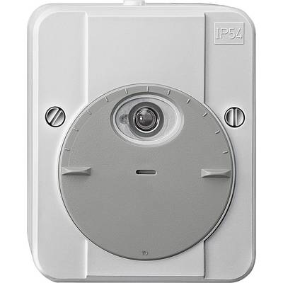 Sivi elektronički prekidač s zaštitom IP54, prepoznatljiv po leći i dvije bočne vijke na pravokutnoj ploči.