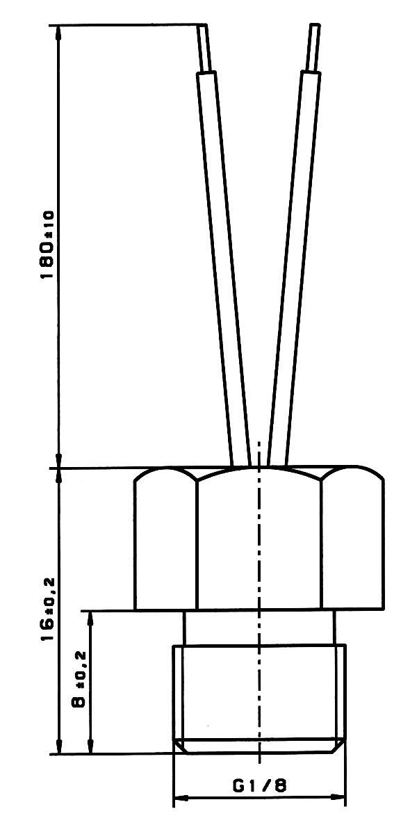 Tehnički nacrt priključka. Mjere: Duljina 180 ± 10 mm, dodatna mjera 160 ± 2 mm. Navoj G1/8. Kabeli vire van.