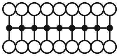 Dijagram prikazuje dvije serije povezanih krugova. Gornji i donji red međusobno su povezani točkama u sredini, stvarajući isprepleteni uzorak.