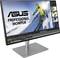 Ravni zaslon prikazuje skijaša na snijegu, pored njega su trake izbornika za uređivanje slike. Marka zaslona: ASUS Professional Monitor.