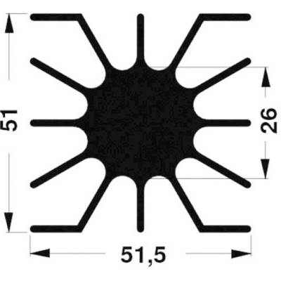 Crna kružna reprezentacija s 12 radijalnih krakova. Ukupna širina 51,5 mm, visina 51 mm. Pojedinačna visina kraka 26 mm.
