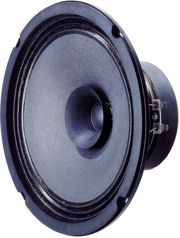 Visaton BG 20 - 8 Ohm 8 palac 20.32 cm šasija širokopojasnog zvučnika 40 W 8 Ω