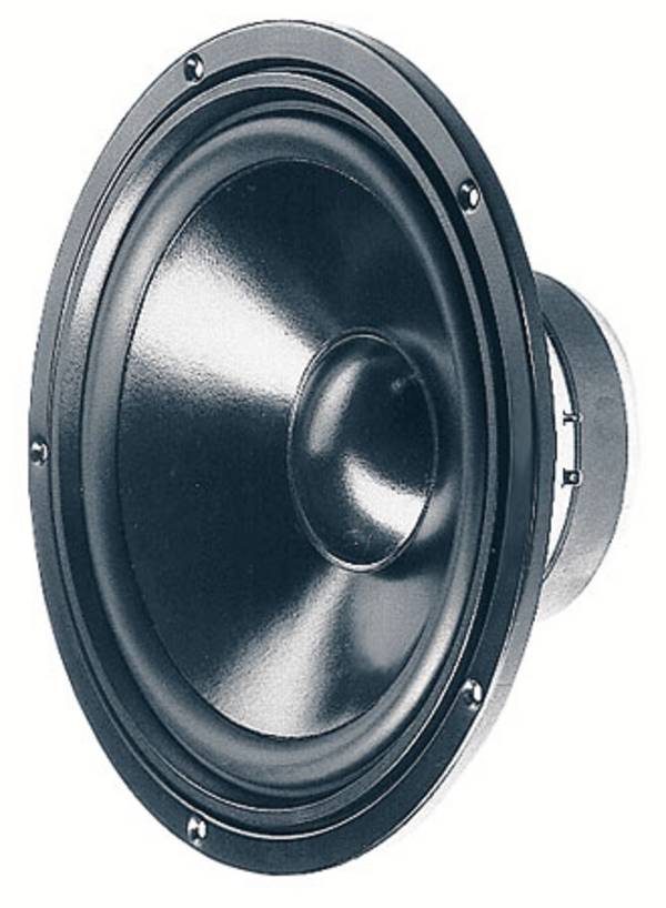 Visaton W 250 S - 8 Ohm 10 palac 25.4 cm niskotonac 100 W 8 Ω