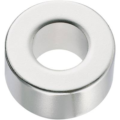 Srebrni prstenasti magnet s velikim centralnim otvorom leži ravno na površini. Magnet ima sjajnu površinu.
