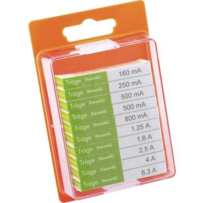 ESKA 122.850 122850 minijaturni osigurač (Ø x D) 5 mm x 20 mm spor -S- Sadržaj 100 St.