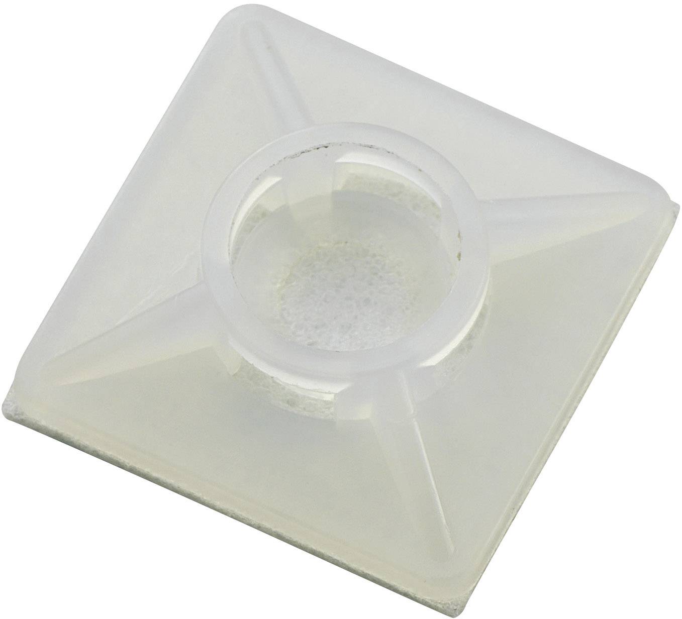 TRU COMPONENTS WCA26R Bevestigingssokkel 541293 Bundel-Ø (bereik) 4.80 mm (max) 4-voudige invoeging Transparant 1 stuk(s)