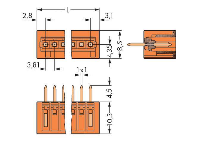 Röntgenski prikaz konektora s mjerama: širina 2,8 mm, duljina 3,1 mm, visina 8,5 mm; razmak između pins-ova 3,81 mm; označeno '1x1'.