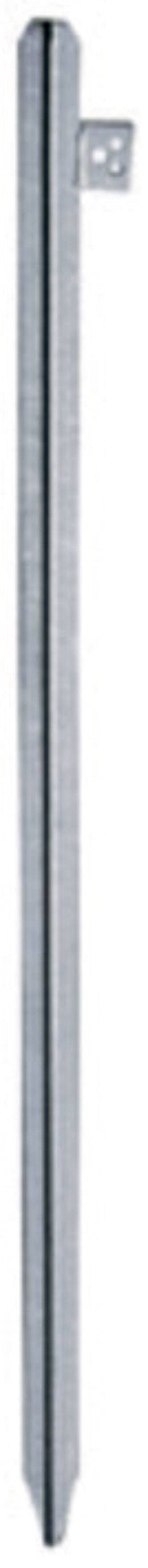 10510 AS Schwabe Sadržaj: 1 St.
