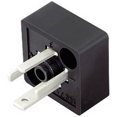 Crni adapter-utikač s dva metalna štifta i okruglim utorom, pogodan za priključivanje električnih uređaja.