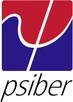 Psiber Data Systems