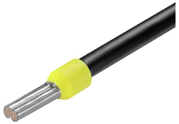 A Braun fülhőmérői, amelyeket az orvosok részesítik előnyben. A funkciók közé tartozik a pontosság és az okostelefon-alkalmazás kapcsolata. A kijelzőn 39,0°C látható.