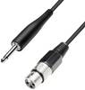 Mikrofonkábel XLR dugó/alj 5 m fekete, Paccs