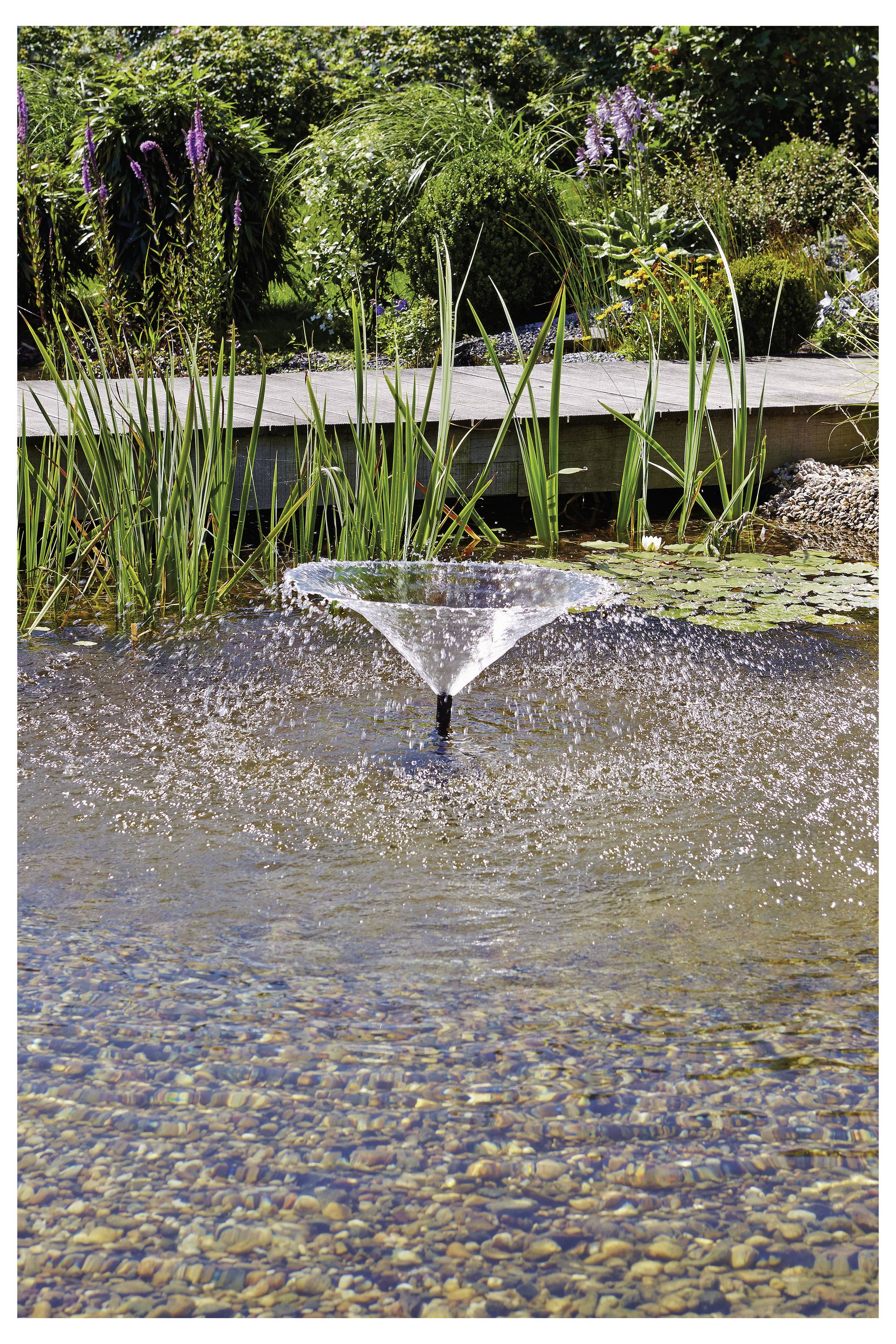 Egy kis kerti tó központi vízszökőkúttal, amely felfelé spriccel, náddal és gazdag zöldövezet övezi a háttérben.