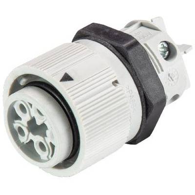 Wieland Electric 46.051.5054.0 Kerek dugó Alj, beépíthető Össz pólusszám: 3 + PE Sorozat (kerek csatlakozók): RST® MINI