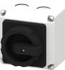 2 pólusú 16 A Siemens 3LD92065A