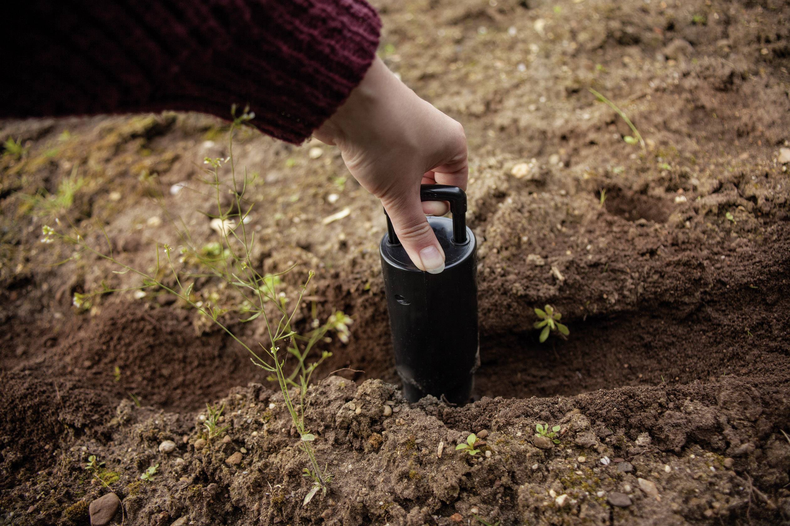 Egy kéz egy ültetőeszköz segítségével egy palántát ültet a földbe. A föld sötét és nedves, kis növénykék láthatóak.