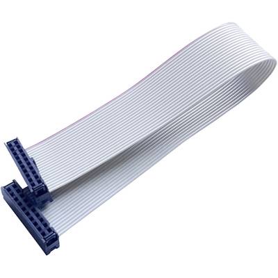 BKL Electronic 10120672 Szalagkábel Raszterméret: 2.54 mm 20 x 0.08 mm² Szürke 1 db