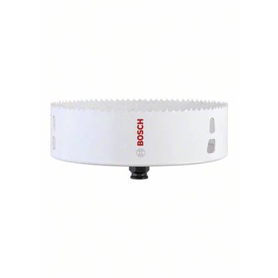 Bosch Accessories 2608594249 Lyukfűrész 168 mm 1 db