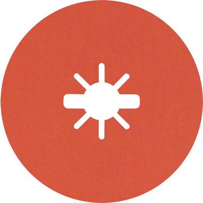 Bosch Accessories 2608621827 Rost tárcsa Ø 115 mm Furat átmérő 22.23 mm 25 db