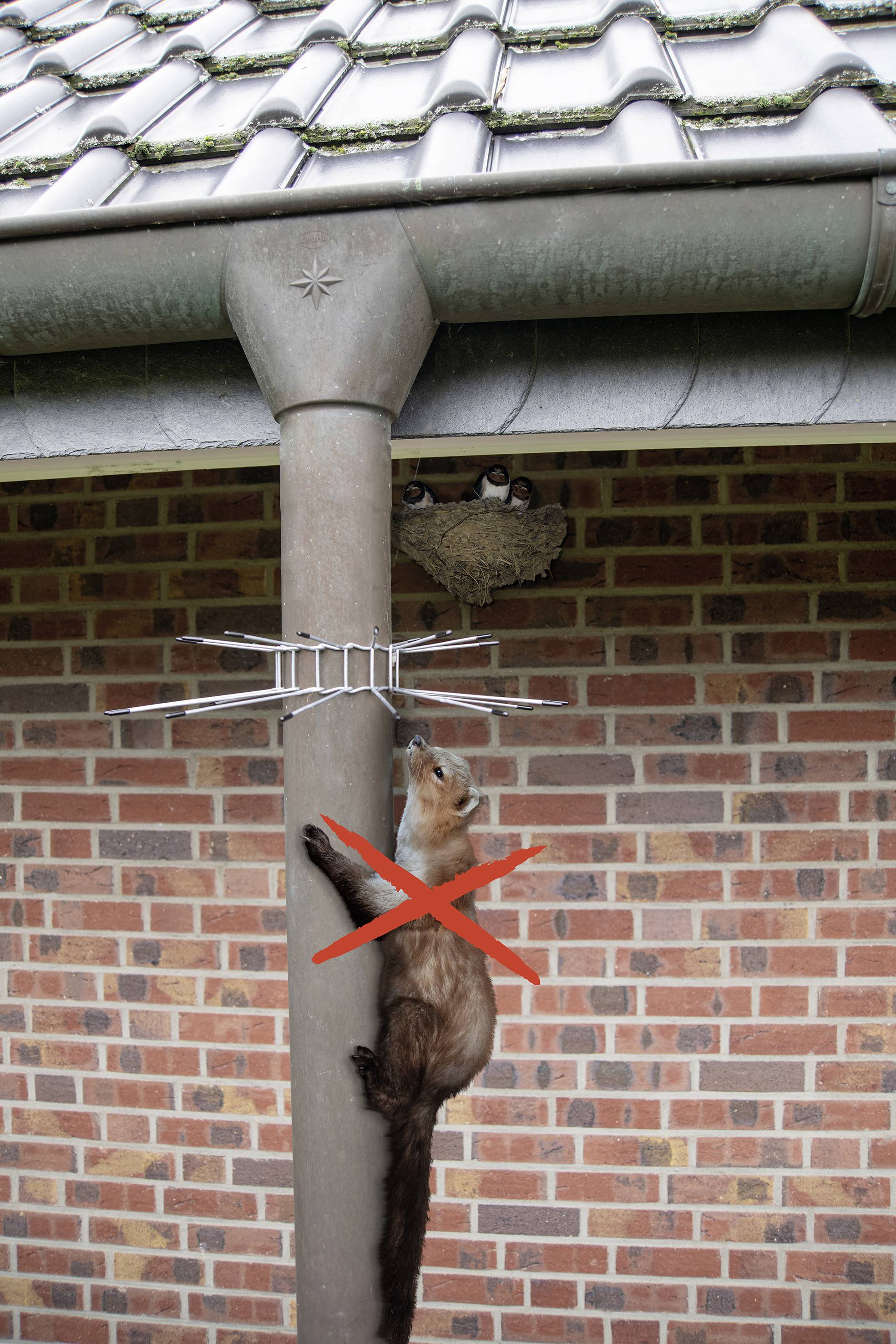 Gardigo Abwehrgürtel Nyestriasztó Funkcióelv Elriasztás 2 db-3