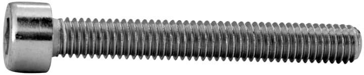 Striebel & John ZX259P20 8WH20250AF01 Hengeres csavarok 6 mm 45 mm Külső hatlap Acél Cinkezett 20 db