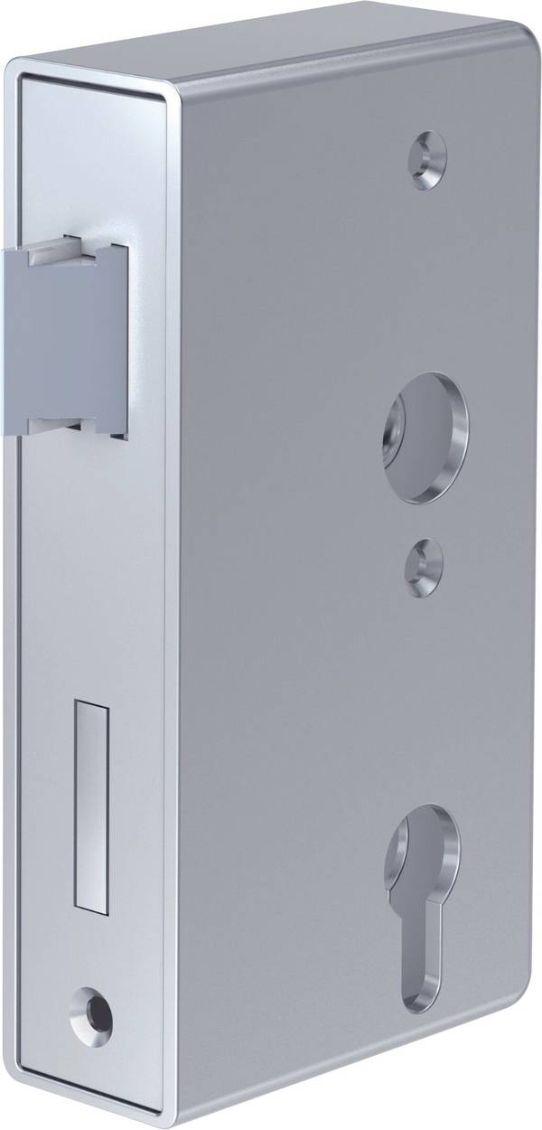 Basi 9900-3055 Bedugaszolós ajtózár Vas