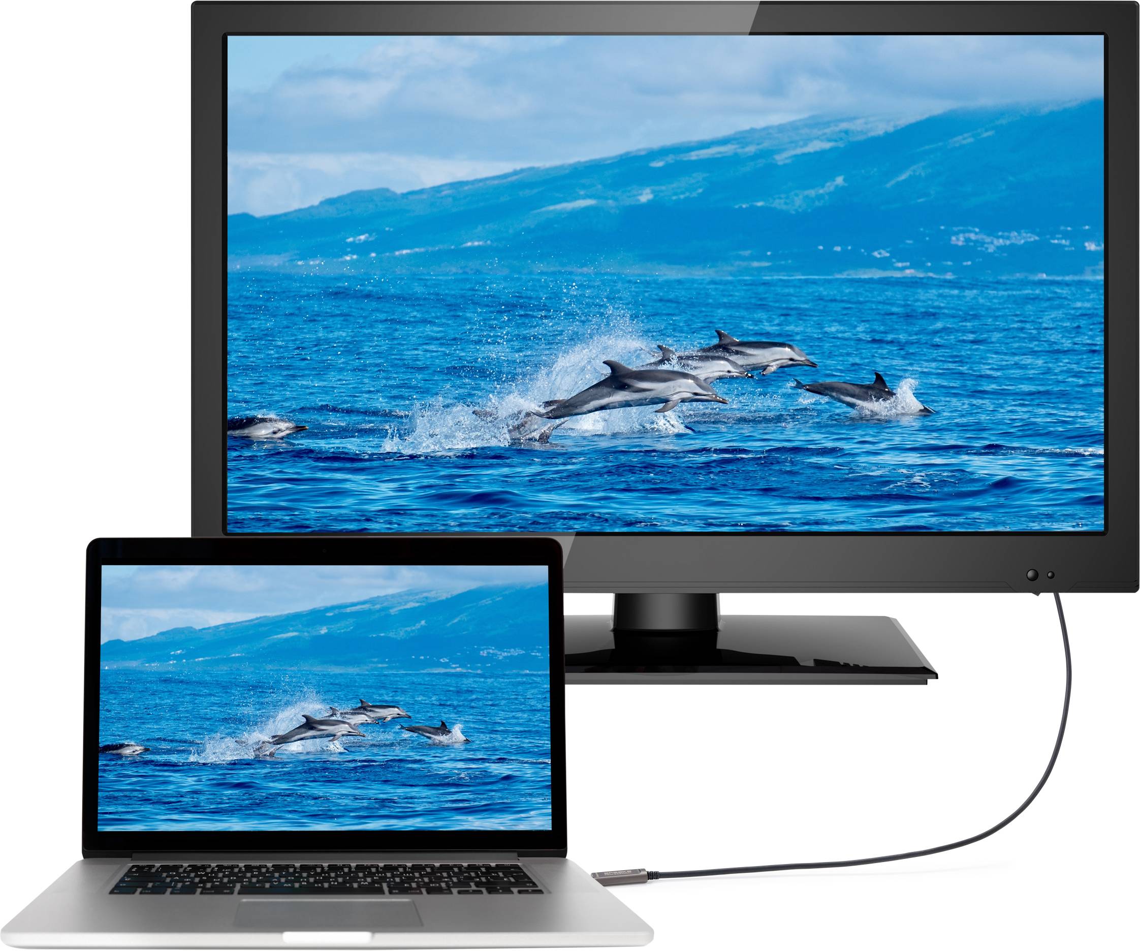 Egy laptop csatlakoztatva van egy televízióval. Mindkét képernyőn ugyanaz a kép látható ugráló delfinekről a tengeren.